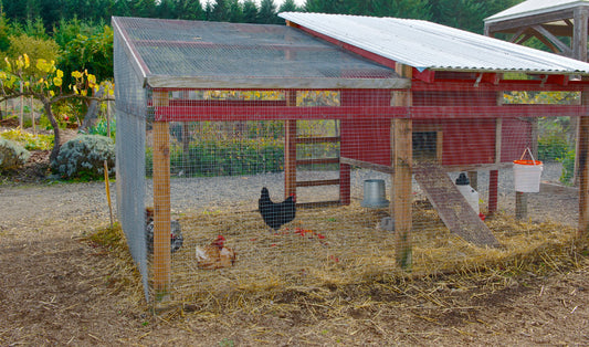 Fall Coop Cleaning Checklist