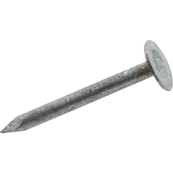 Grip-Rite 2 In. 11 ga Electrogalvanized Roofing Nails (4320 Ct., 30 Lb.)
