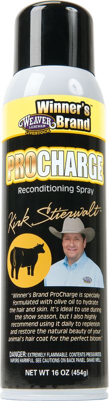 Weaver Leather ProCharge, Aerosol