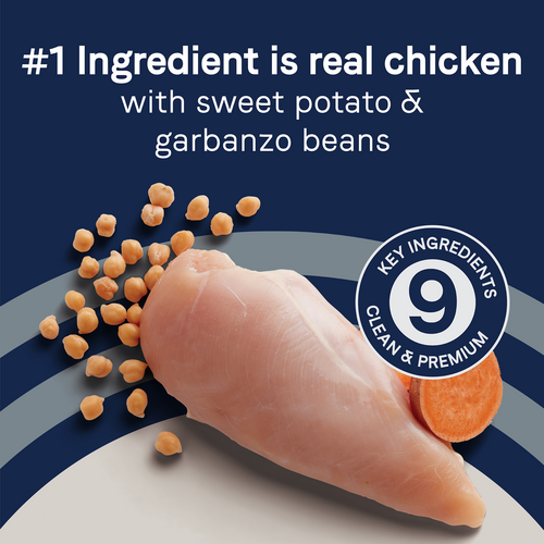 Canidae Grain Free PURE Chicken, Sweet Potato & Garbanzo Bean Recipe Dry Dog Food (12-lb)
