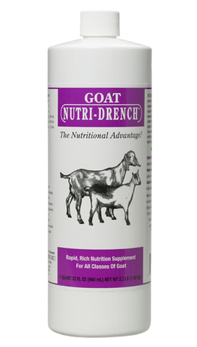 Nutri-Drench Goat & Sheep Nutrition Supplement 16 oz