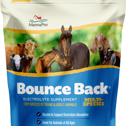 Manna Pro Bounce Back®